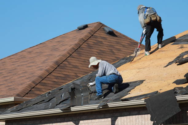 Best Slate Roofing  in Paulden, AZ