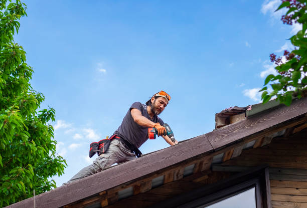 Best Skylight Installation and Repair  in Paulden, AZ